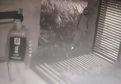 VIDEO: Tres ladrones entraron a robar a una casa y los espantó la alarma 